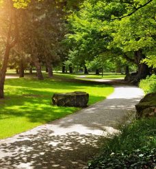 Gdzie na city break w naturze? Gdzie odpocząć poza miastem w Wielkopolsce? 6 miejsc, które warto odwiedzić