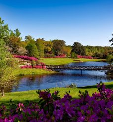 Gdzie na city break w naturze? Gdzie odpocząć poza miastem w Wielkopolsce? 6 miejsc, które warto odwiedzić